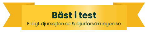 alt=""