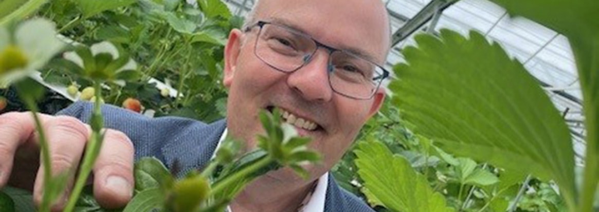 Vi besöker Vikentomater