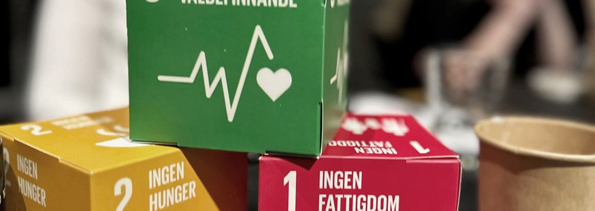 Backåkra Summit och FN:s klimatmål