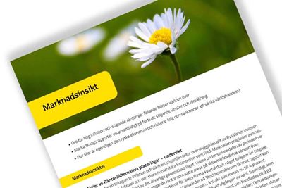 Foto av vårt nyhetsbrev Marknadsinsikt och hur det kan se ut